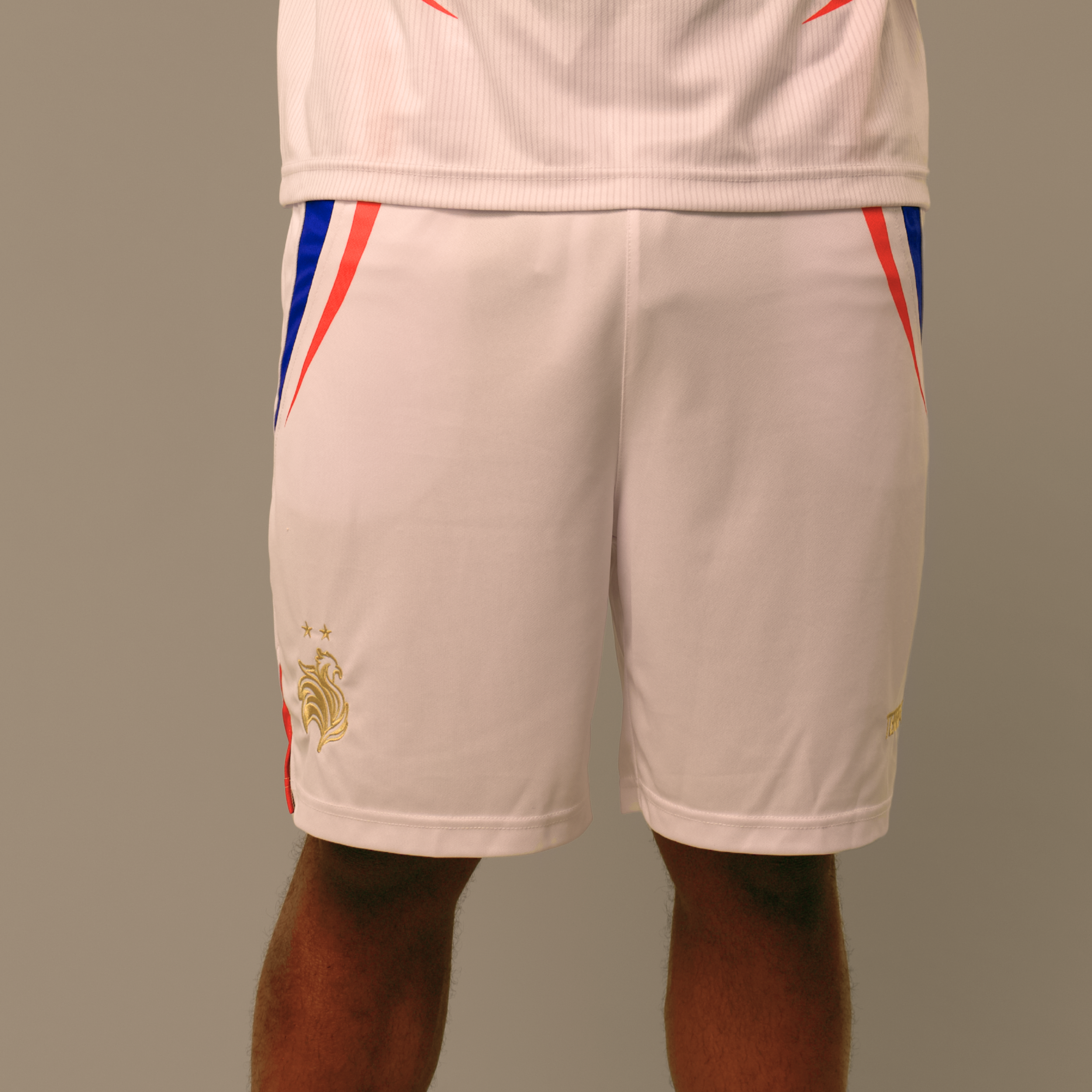FRANCE WC SUMMER SHORTS