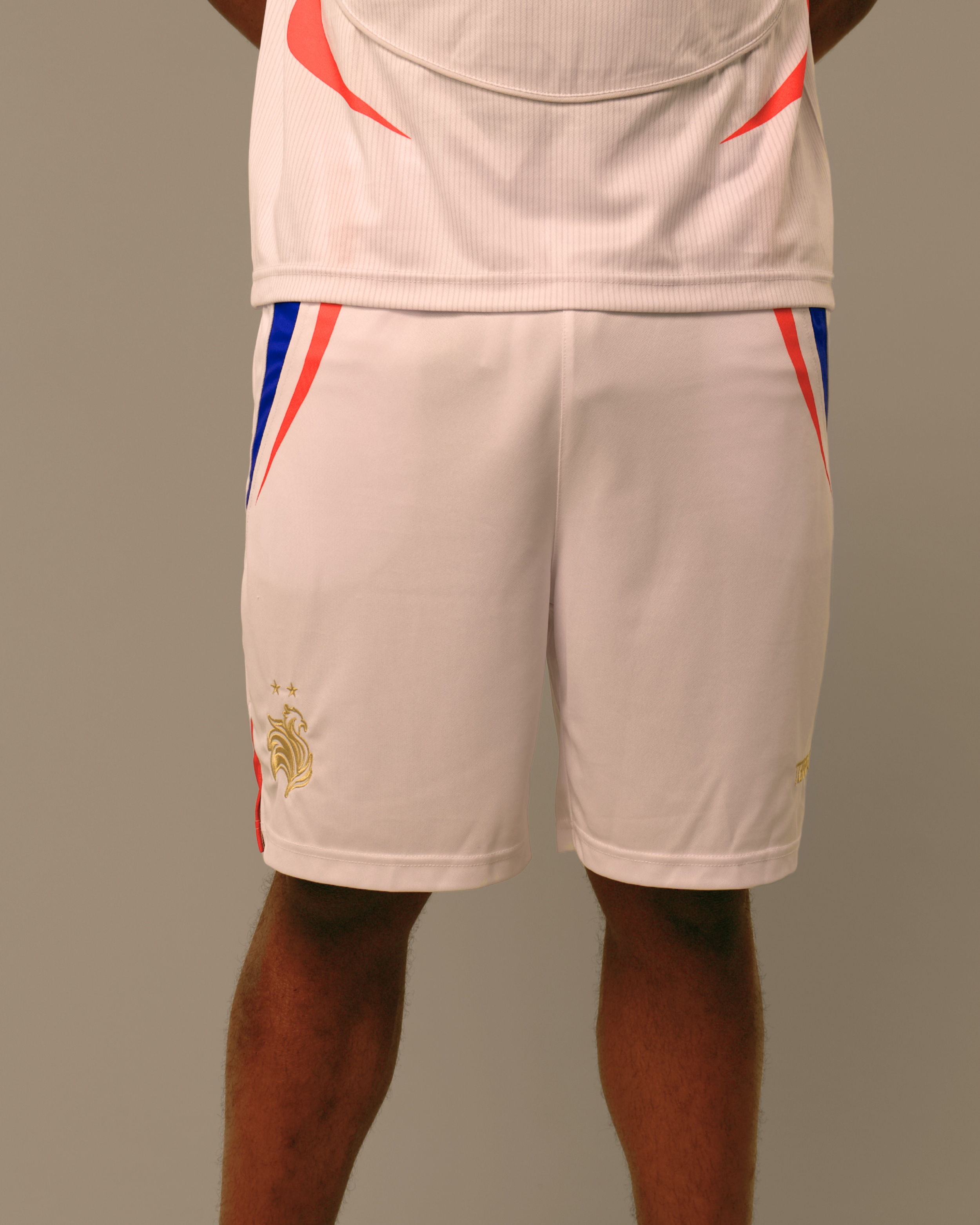 FRANCE WC SUMMER SHORTS